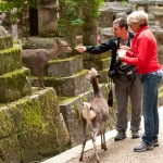 Japan-Photo-Guide-283