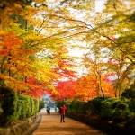 Japan-Photo-Guide-3481