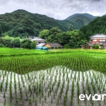 tanada-kyushu-hdr-japan-photo-guide-004