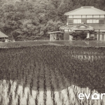 tanada-kyushu-hdr-japan-photo-guide-005