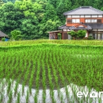 tanada-kyushu-hdr-japan-photo-guide-006