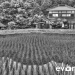 tanada-kyushu-hdr-japan-photo-guide-007
