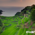tanada-kyushu-hdr-japan-photo-guide-019