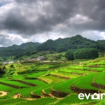 tanada-kyushu-hdr-japan-photo-guide-022