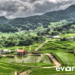 tanada-kyushu-hdr-japan-photo-guide-023