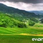 tanada-kyushu-hdr-japan-photo-guide-026
