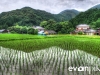 tanada-kyushu-hdr-japan-photo-guide-004