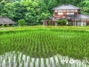 tanada-kyushu-hdr-japan-photo-guide-006