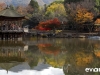 Japan Photo Guide Fall-003