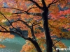 Japan Photo Guide Fall-013