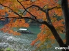 Japan Photo Guide Fall-024