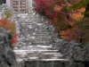 Japan Photo Guide Fall-026