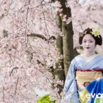 Maiko Portrait Session-09-japanphotoguide