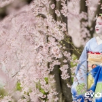 Maiko Portrait Session-13-japanphotoguide