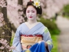 Maiko Portrait Session-08-japanphotoguide