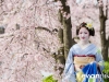 Maiko Portrait Session-09-japanphotoguide