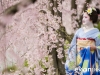 Maiko Portrait Session-13-japanphotoguide