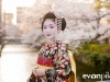 Maiko Portrait Session-18-japanphotoguide