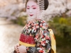 Maiko Portrait Session-19-japanphotoguide