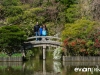 Tokyo and Kyoto-02-japanphotoguide