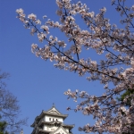 Himeji-01-japanphotoguide