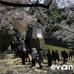 Himeji-02-japanphotoguide
