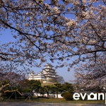 Himeji-05-japanphotoguide