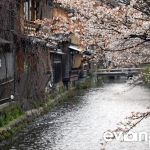 Kyoto-23-japanphotoguide