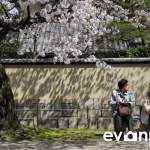 Kyoto-26-japanphotoguide
