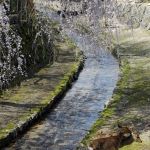 Miyajima-17-japanphotoguide