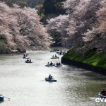 Tokyo-50-japanphotoguide