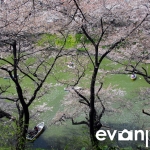 Tokyo-52-japanphotoguide
