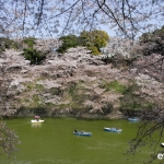 Tokyo-54-japanphotoguide