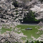 Tokyo-55-japanphotoguide