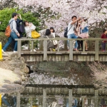 Tokyo-56-japanphotoguide