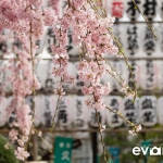 Tokyo-57-japanphotoguide