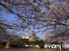 Himeji-05-japanphotoguide