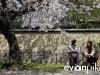 Kyoto-26-japanphotoguide