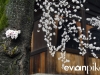 Kyoto-28-japanphotoguide