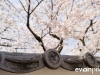 Kyoto-42-japanphotoguide