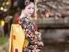 Kyoto-45-japanphotoguide