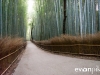 Kyoto-Bamboo-002