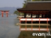 Miyajima-19-japanphotoguide