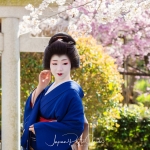 113-Kyoto-Geiko-Portrait-Cherry-Blossom