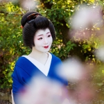 120-Kyoto-Geiko-Portrait-Cherry-Blossom