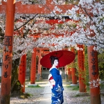Japan-Cherry-Blossom-316-L