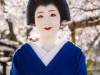 114-Kyoto-Geiko-Portrait-Cherry-Blossom