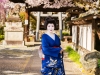 116-Kyoto-Geiko-Portrait-Cherry-Blossom