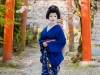 117-Kyoto-Geiko-Portrait-Cherry-Blossom