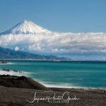 128-Mt-Fuji-Cherry-Blossom